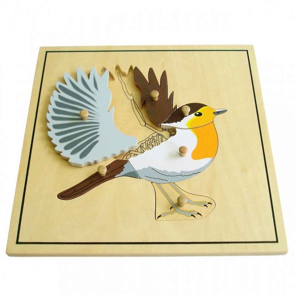 Puzle esqueleto del Pájaro Montessori